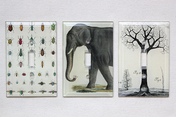John_Derian_Switch_Plate_Cover
