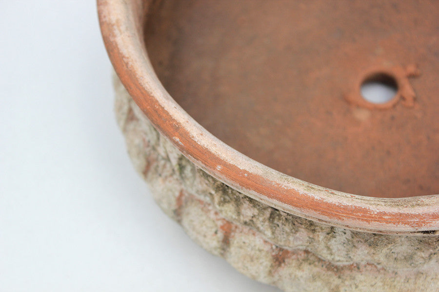 Aged Trojan Centerpiece